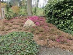149 PARC ORIENTAL DE MAULEVIER MAINE ET LOIRE 2016 N1_000025